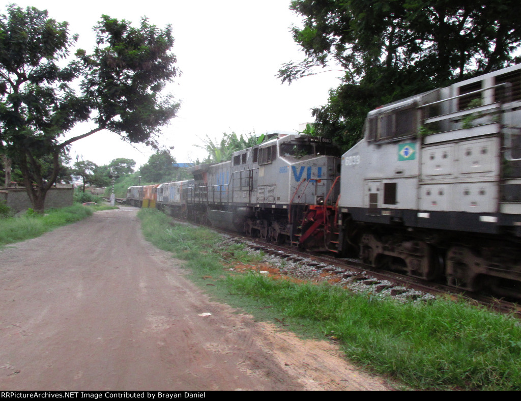 VLI 8683
